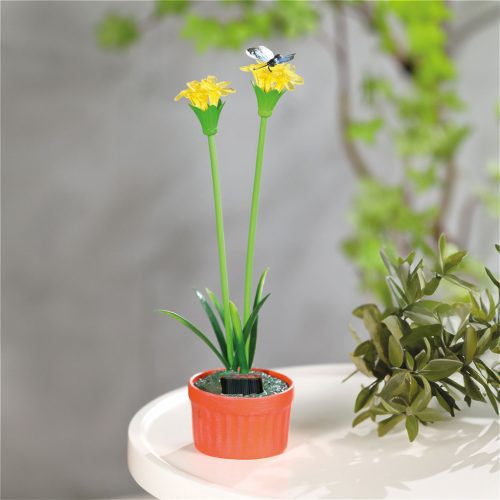 Szolár cserepes virág (sárga)