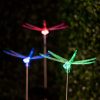 RGB LED-es szolár lámpa szitakötő