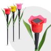 Szolár tulipán (Sárga, piros, rózsaszín)