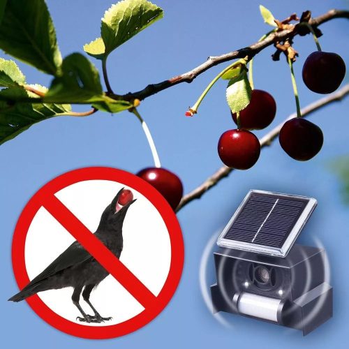 Napelemes ultrahangos Madárriasztó