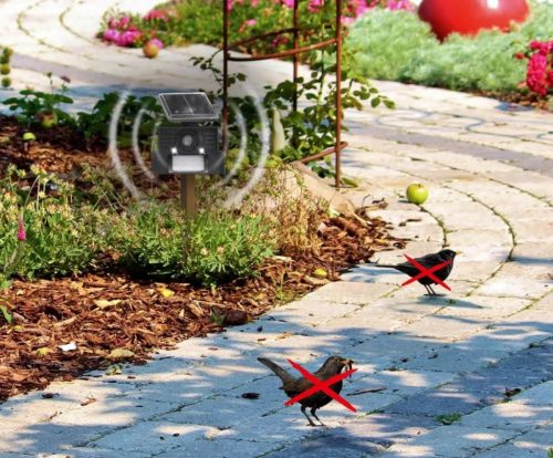 Napelemes ultrahangos Madárriasztó