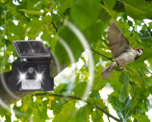 Napelemes ultrahangos Madárriasztó