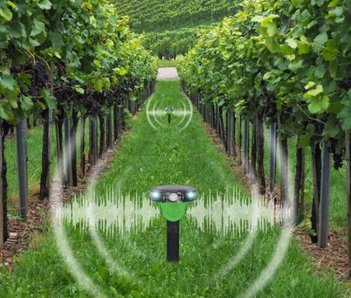 Napelemes elektromos Galamb Seregély Madár riasztó