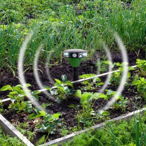 Napelemes elektromos Galamb Seregély Madár riasztó