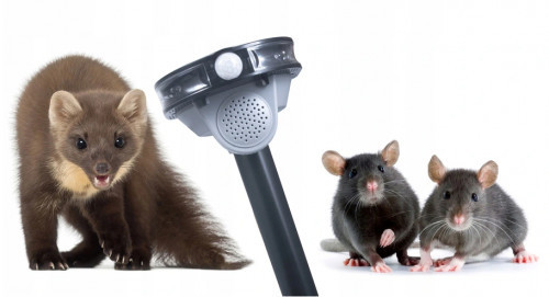 Ultrahangos napelemes kisállatriasztó|hang- és fényriasztás