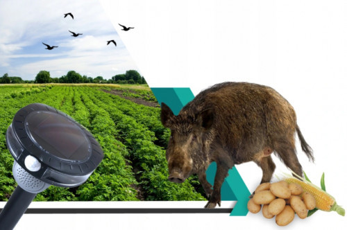 Ultrahangos napelemes kisállatriasztó|hang- és fényriasztás