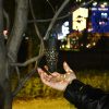 Napelemes Meleg Fehér Kerti Fáklya