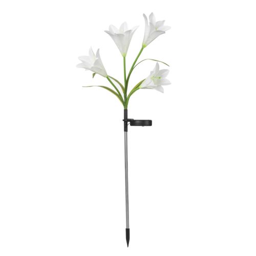 4 virágú liliom (80cm magas)