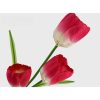 3 virágú tulipán (78 cm magas)